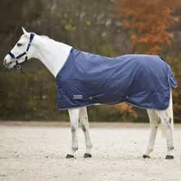 Waldhausen Regendecke Economic 115 cm Blau