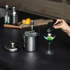 Intirilife 4-teiliges Eiskübel Set, Flaschenkühler, Silber