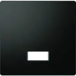Wippe 1t Schalter System Design anth glz Mit austauschbarer Linse/Symbol