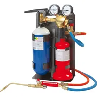 Rothenberger ALLGAS 2000 PS 0,5/2 Basic-Set, 18-teilig