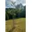 Gabionensäule Steingabionen 35 x 160