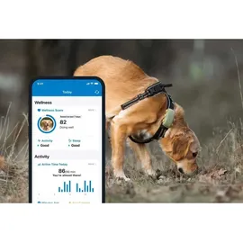 tractive GPS Tracker Hund XL wasserdicht grün