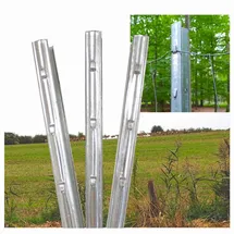 Trutzholm Zaunpfosten 20 x 215 cm Verzinkt Grau/Silber