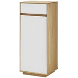 Höffner Mehrzweckschrank ¦ weiß ¦ Maße (cm): B: 44 H: 103 T: 37.0