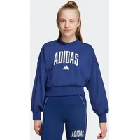 adidas Crew Sweatshirt Blue 164