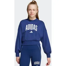 adidas Crew Sweatshirt Blue 164