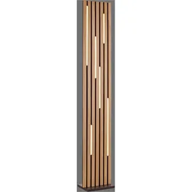 Paul Neuhaus Q-Akustik 162,00 cm 20,00x26,00 cm Schwarz