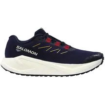 Salomon Herren Aero Blaze 3 Gravel blau 45.3