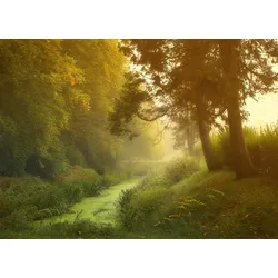 Fototapete PAPERMOON "Wald mit Fluss", bunt, B:4,00m L:2,60m, Vlies, Tapeten