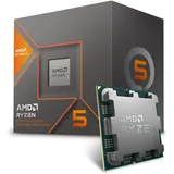 AMD Ryzen 5 8600G 5,00 GHz Box 100-000000000