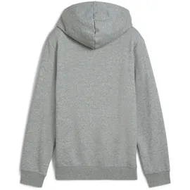 Puma Hoodie Grey 140