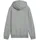 Puma Hoodie Grey 140