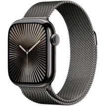 Apple Watch Series 10 GPS + Cellular 42 mm Titangehäuse schiefer Milanaise Armband schiefer