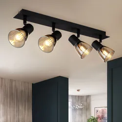 Deckenleuchte Wohnzimmerleuchte Strahler beweglich Metall Holz schwarz matt Glas