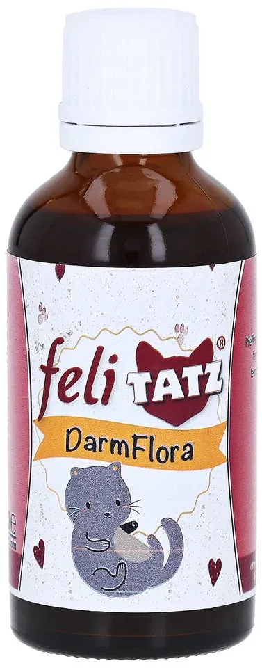 Felitatz Darmflora Erg.futterm.flüssig f 50 ml