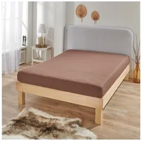 BettwarenShop Spannbettlaken Multi-Stretch in braun | Gr.: 90x200 cm