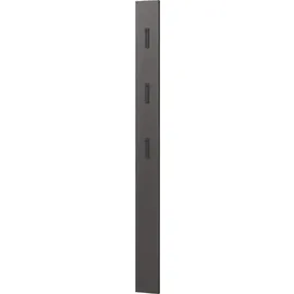 Germania Garderobenpaneel Colorado 15 x 170 x 3 cm Grau