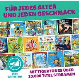 Tiger Media Tigerbox Touch Plus grün