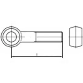 TOOLCRAFT Augenschraube M16 120 mm 1 Stück