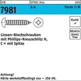 Industrial Quality Supplies DIN 7981-C/ISO 7049 Form C Linsenkopf-Blechschraube VG 6,3x19 Edelstahl A4 blank PH