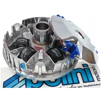 Polini kids Variomatik Speed Control für Kymco 50cc 4-Takt