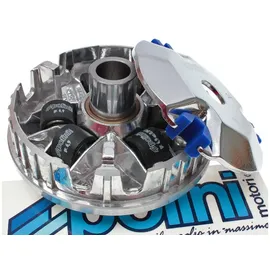 Polini kids Variomatik Speed Control für Kymco 50cc 4-Takt