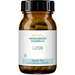 L Lysin