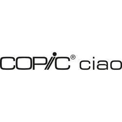 Copic Ciao Typ BG - 13