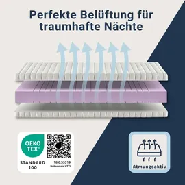 Betten-ABC KSP-500 GreenLine 160 x 200 cm H3