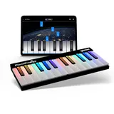 Gemini Sound PianoProdigy – Beleuchtete 24er Bluetooth-Tastatur – Tragbares und erweiterbares Piano für angehende Musiker – MIDI-Funk-Controller für iOS/Android-Geräte (erfordert eine App)