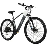 Totem E-MTB Hardtail 29" Youin EV-S Heckmotor 50NM / 14Ah stahlgrau-weiß