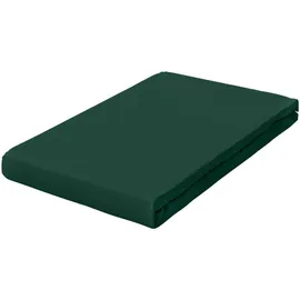 schlafgut Spannbettlaken Jersey-Baumwolle 120 x 200 - 130 x 220 cm grün
