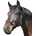 Pony schwarz