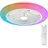 49 cm 20+40 W farbiges Licht