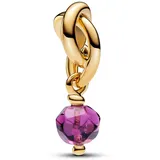 Pandora Charm-Anhänger gold 763462C02