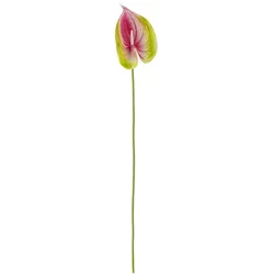 Bloomingville Flamingo Stiel, Pink, Künstliche Blume, Ø 10xH57 cm