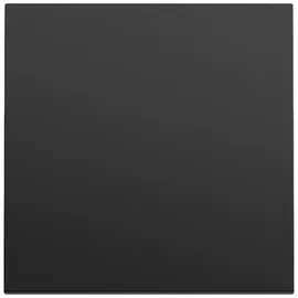Gira Wippe Schalter 329674