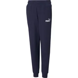 Puma Essentials Logo Pants FL cl B peacoat (06) 140