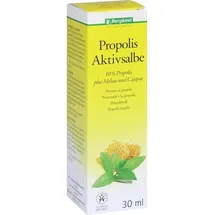 bergland gmbh Propolis Aktivsalbe
