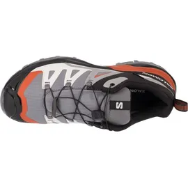 Salomon X Ultra 360 GTX Herren Quiet Shade / Black / Spice Route 42