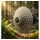 Shimano Kassette 9-fach 11-34 34 Zähne Silber