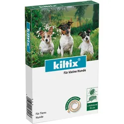 Kiltix für kleine Hunde