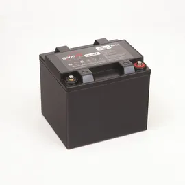 EnerSys Genesis 12EP42 42000 mAh 1 St.