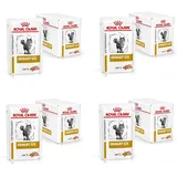 Royal Canin Urinary S/O Katzen Nassfutter 48 x 85 g