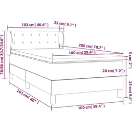 vidaXL Boxspringbett 100 x 200 cm Schwarz