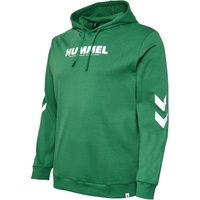 hummel Sweatshirt/Hoodie