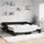 vidaXL Tagesbett 100 x 200 cm Schwarz