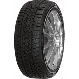 MINERVA Frostrack UHP 295/35 R21 107V