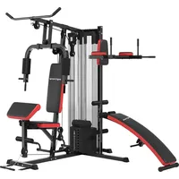 sportnow Kraftstation Multifunktionale Fitnessstation Schwarz