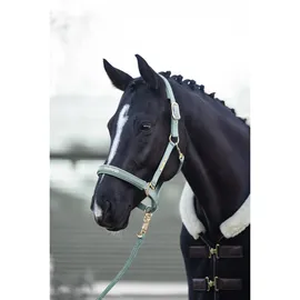Kieffer Halfter Satin Shine Pony Mint